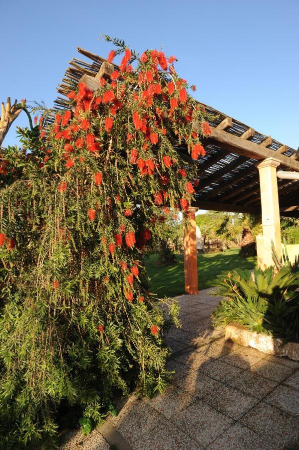 La Fontana Dei Desideri Aparthotel Αλγκέρο Εξωτερικό φωτογραφία